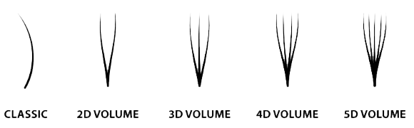 Types of eyelashes